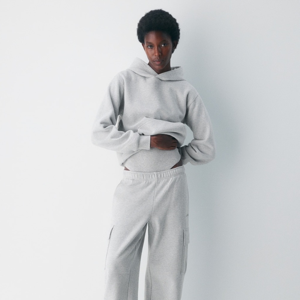 Aritzia Cozy Sweatfleece Perfect Hoodie